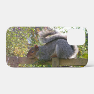 Etui iPhone Case-Mate écureuil gris reposant photo originale de la faune