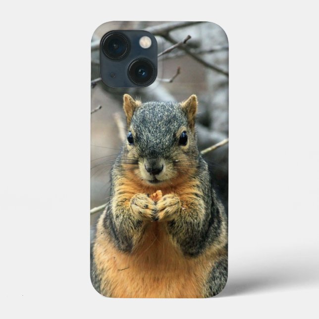 Coques Case-Mate iPhone Écureuil mangeant une noix (Verso)