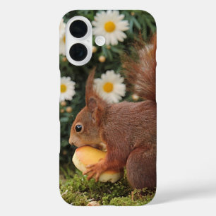Coque Pour iPhone 16 Écureuil roux et pâquerettes Photo mignonne