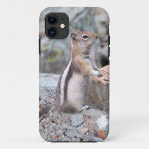 Case-Mate iPhone Case Écureuil terrestre à manteau doré à Glacier II
