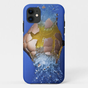 Coques Pour iPhone Eggceptional