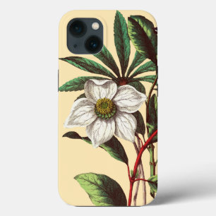 Case-Mate iPhone Case Élégante Fleur Rose de Noël Vintage