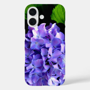 Coque Pour iPhone 16 Elégante hydrangée violette fleurie bleu pourpre