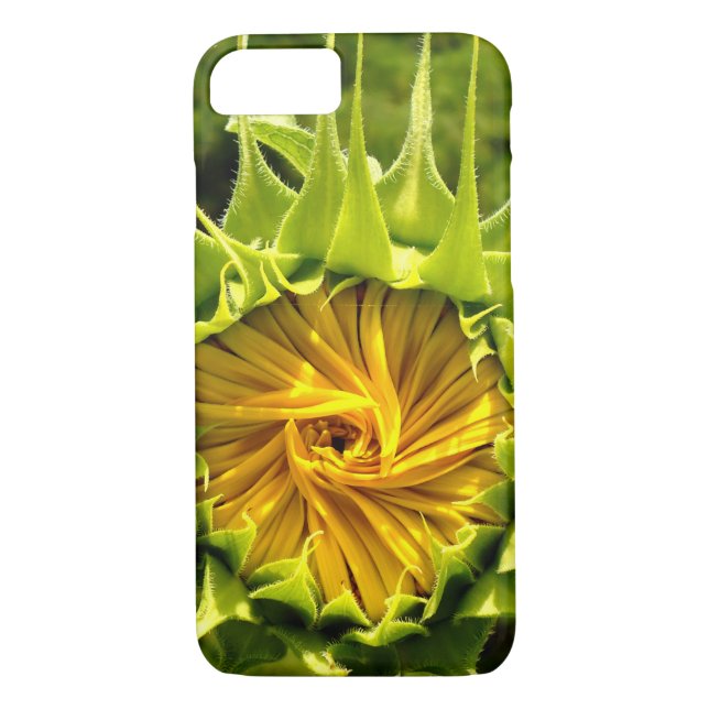 Coques Case-Mate iPhone Elégante photo de tournesol jaune (Dos)