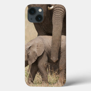 Case-Mate iPhone Case Eléphant africain avec mère