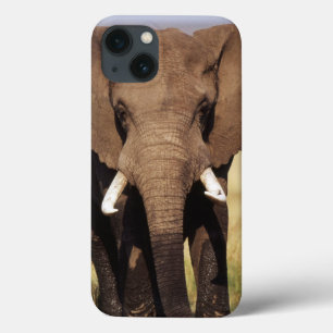 Coques Pour iPhone Eléphant de Bush en Afrique