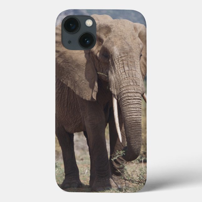 Coques Case-Mate iPhone Éléphant de mère marchant avec le veau d'éléphant (Verso)