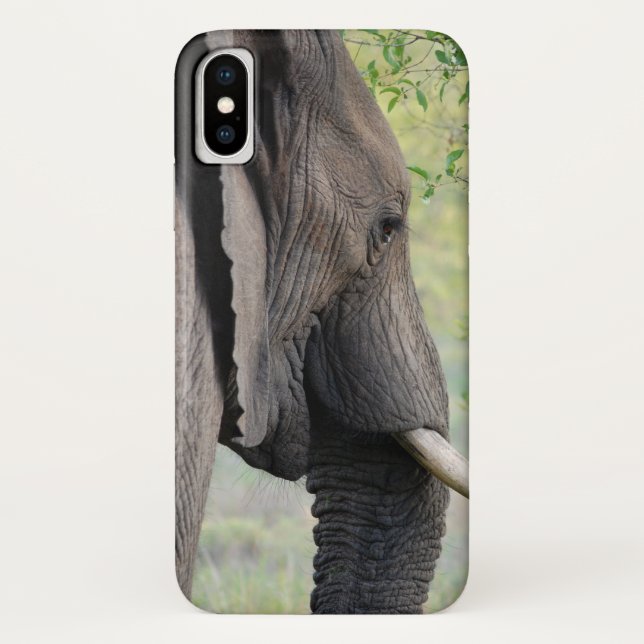 Coques Case-Mate iPhone Eléphant gris africain exotique (Dos)