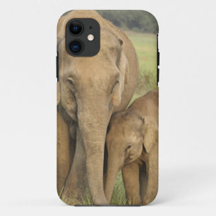 Coques Pour iPhone Éléphant indien / asiatique et jeune, Corbett