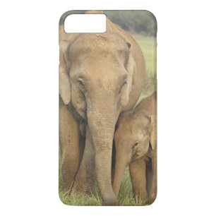 Coque Case-Mate Pour iPhone Éléphant indien / asiatique et jeune, Corbett