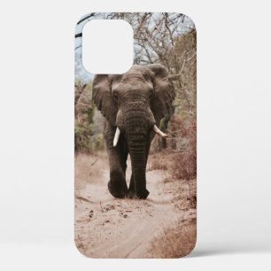 Case-Mate iPhone CASE ÉLÉPHANT NOIR MARCHANT SUR SABLE BROWN