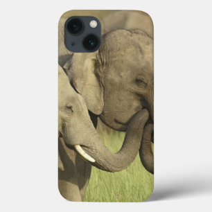 Etui iPhone Case-Mate Éléphants asiatiques indiens