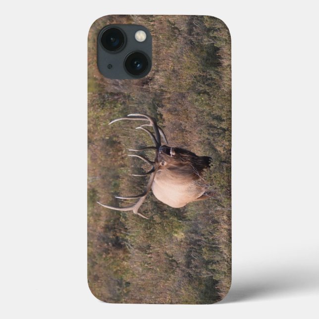 Coques Case-Mate iPhone Elk bourrant (Verso)