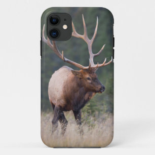 Coques Pour iPhone Elk de montagne Rocky