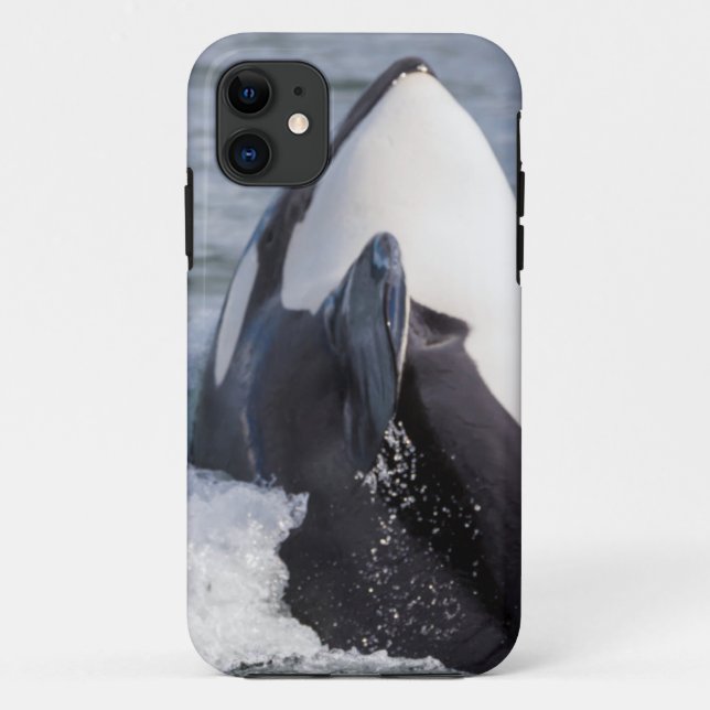 Coques Case-Mate iPhone Épaulard faisant une brèche (Dos)