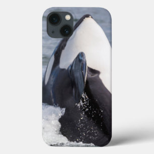 Etui iPhone Case-Mate Épaulard faisant une cabriole
