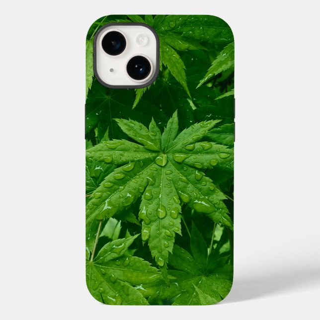 Coques Case-Mate iPhone Érable au printemps (Verso)
