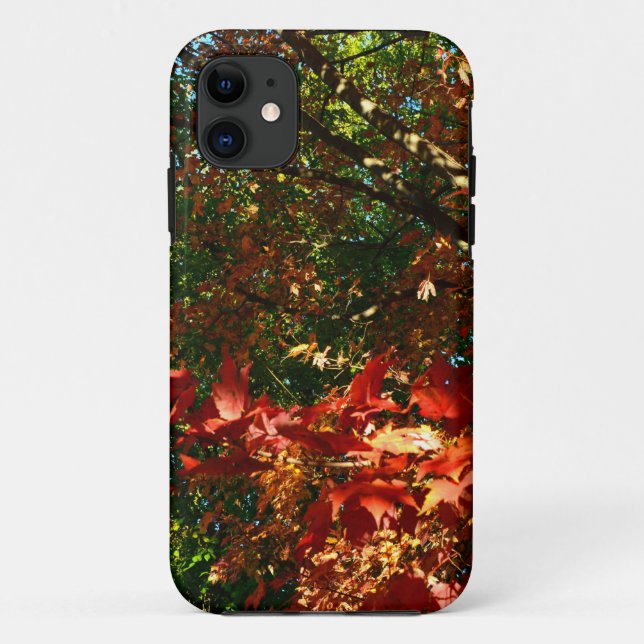 Coques Case-Mate iPhone Érable japonais en automne (Dos)