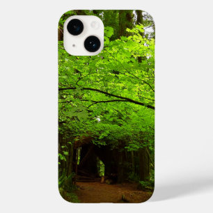 Coques Pour iPhone Érables dans la forêt de séquoias