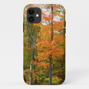 Coque iPhone 11 Érables en automne Photographie de la nature