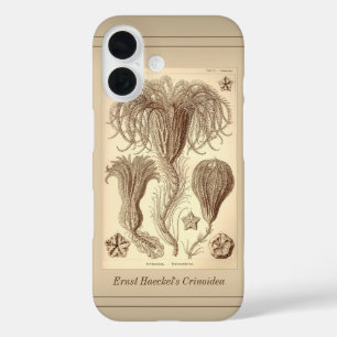Coque Pour iPhone 16 Ernst Haeckel Crinoids - Page complète