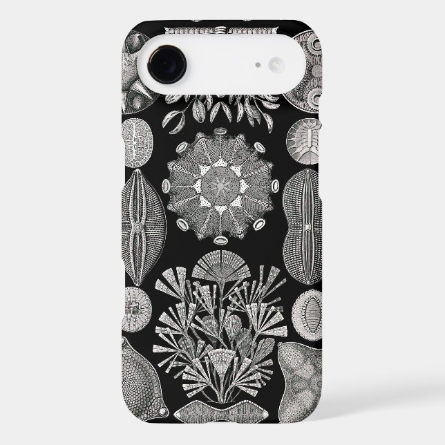 Coques Case-Mate iPhone Ernst Haeckel Diatomea (Verso)