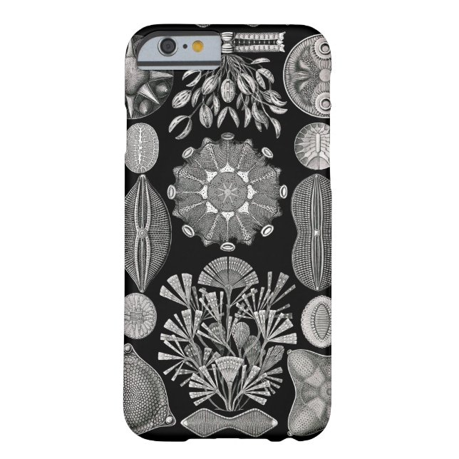 Coques Case-Mate iPhone Ernst Haeckel Diatomea (Dos)