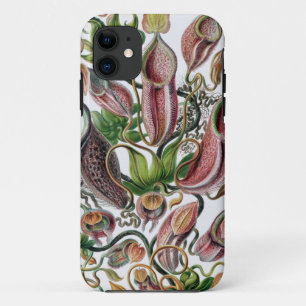 Case-Mate iPhone Case Ernst Haeckel Kunstformen der Natur Nepenthaceae P