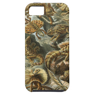Coque Tough iPhone 5 Ernst Haeckel - Lacertilia