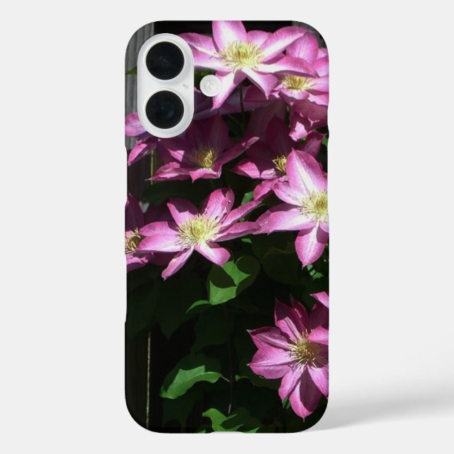 Coques Case-Mate iPhone Escalade Clematis Fleurs de printemps violettes (Verso)