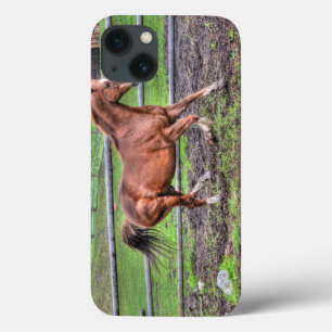 iPhone 13 Case Étalon de châtaignier cantonné Écologique