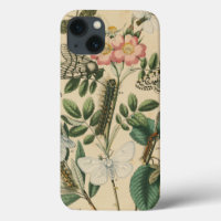 Étapes de la vie des papillons par Vision Studio