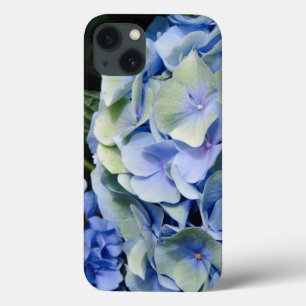 Etui iPhone 13 États-Unis, Alabama, Theodore près de Mobile 2