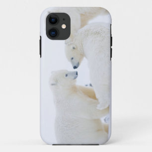 Coque Case-Mate Pour iPhone États-Unis, Alaska, 1002 Plaine côtière de l'Arcti