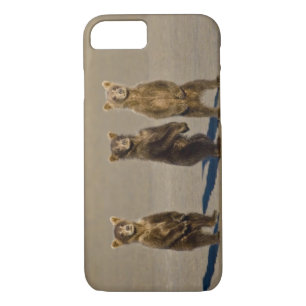 Coque iPhone 8/7 États-Unis Alaska. Cubes d'ours Brown côtier
