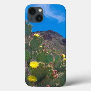 iPhone 13 Coque États-Unis, Arizona. Cactus dans les collines