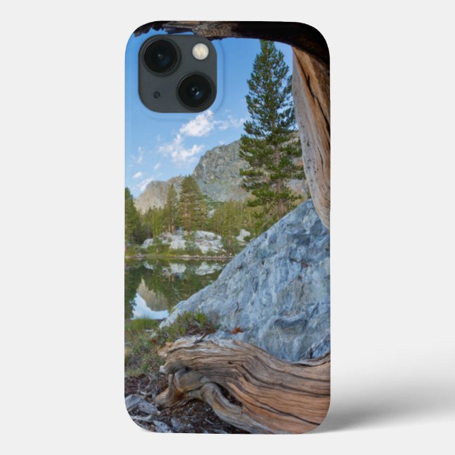 Coques Case-Mate iPhone États-Unis, Californie, forêt nationale d'Inyo. Vi (Verso)