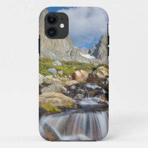 Coque iPhone 11 États-Unis, Californie, Inyo National Forest 14