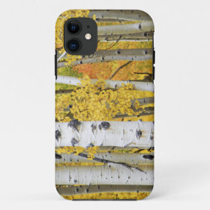 Coques Pour iPhone États-Unis, Colorado, montagnes Rocheuses.  Aspec
