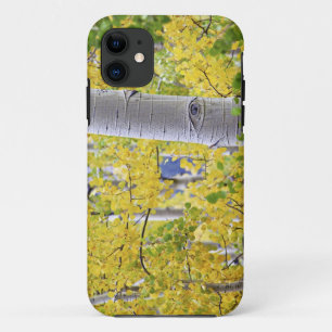 Coque iPhone 11 États-Unis, Colorado, Montagnes Rocheuses. Intime 