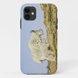 Coque Case-Mate Pour iPhone États-Unis, Colorado, Montagnes Rocheuses, mont Ev