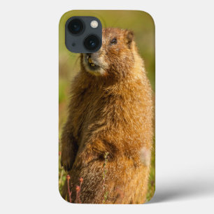 Coques Pour iPhone États-Unis, Colorado, Montagnes San Juan