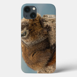 Coques Pour iPhone États-Unis, Colorado, Montagnes San Juan 2