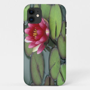 Coques Pour iPhone États-Unis, État de Washington, Seattle. Nénuphar