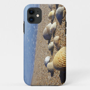 Coques Pour iPhone États-Unis, Floride, coquillages marins côtiers