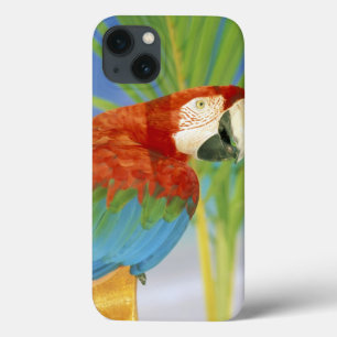 Coques Pour iPhone États-Unis, Hawaï. Perroquet
