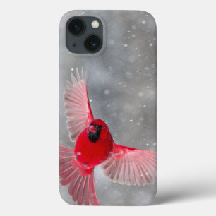 Case-Mate iPhone Case États-Unis, Indiana, Indianapolis. Un cardinal mâl