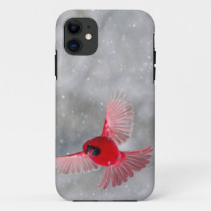 Case-Mate iPhone Case États-Unis, Indiana, Indianapolis. Un cardinal mâl