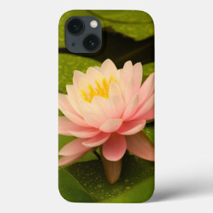 Coques Pour iPhone États-Unis, Maryland, Westminster, Union 2