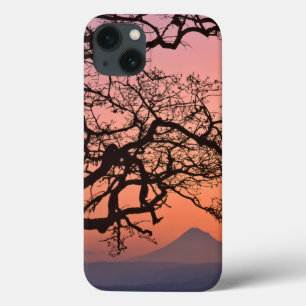 Etui iPhone 13 États-Unis, Oregon, Columbia River Gorge National